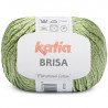 Lanas Katia Brisa Pistacho claro 60
