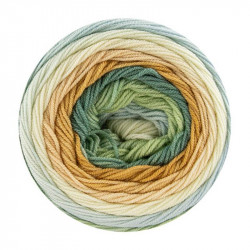 Katia Merino Baby Degradé 301
