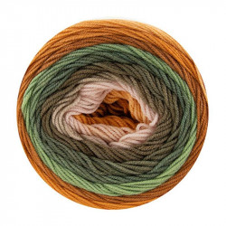 Katia Merino Baby Degradé 302
