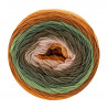 Katia Merino Baby Degradé 302