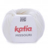 Katia Missouri 3
